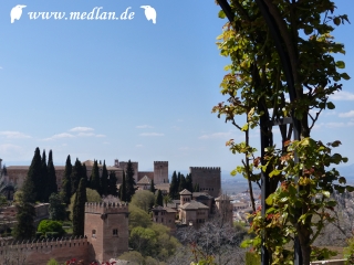 Blick vom Generalife zur Alhambra